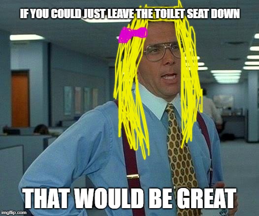 That Would Be Great Meme | IF YOU COULD JUST LEAVE THE TOILET SEAT DOWN; THAT WOULD BE GREAT | image tagged in memes,that would be great | made w/ Imgflip meme maker