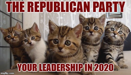 THE REPUBLICAN PARTY; YOUR LEADERSHIP IN 2020 | image tagged in kittens line of cats | made w/ Imgflip meme maker