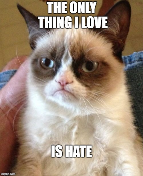 Grumpy Cat Meme | THE ONLY THING I LOVE; IS HATE | image tagged in memes,grumpy cat | made w/ Imgflip meme maker