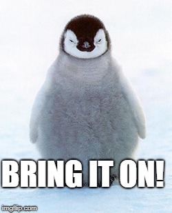 Angry penguin | BRING IT ON! | image tagged in angry penguin | made w/ Imgflip meme maker