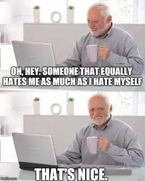 This is everyone. | OH, HEY. SOMEONE THAT EQUALLY HATES ME AS MUCH AS I HATE MYSELF; THAT'S NICE. | image tagged in memes,hide the pain harold | made w/ Imgflip meme maker