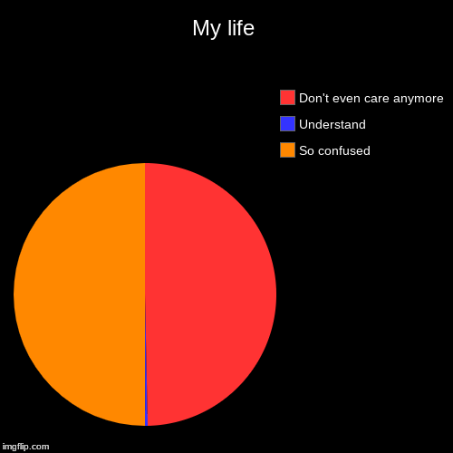 My life | So confused, Understand, Don't even care anymore | image tagged in funny,pie charts | made w/ Imgflip chart maker