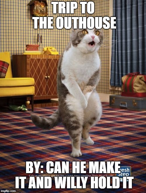 Cats | TRIP TO THE OUTHOUSE; BY: CAN HE MAKE IT AND WILLY HOLD IT | image tagged in memes,gotta go cat | made w/ Imgflip meme maker