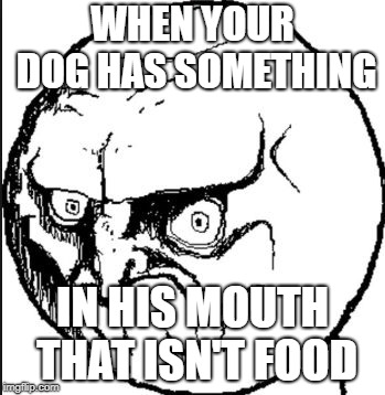 mad face | WHEN YOUR DOG HAS SOMETHING; IN HIS MOUTH THAT ISN'T FOOD | image tagged in mad face | made w/ Imgflip meme maker