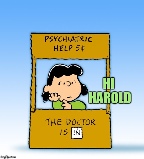 Lucy Van Pelt Psychiatrist | HI HAROLD | image tagged in lucy van pelt psychiatrist | made w/ Imgflip meme maker