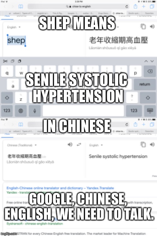 Shep means Senile Systolic Hypertension in chinese | SHEP MEANS; SENILE SYSTOLIC HYPERTENSION; IN CHINESE; GOOGLE, CHINESE, ENGLISH, WE NEED TO TALK. | image tagged in google translate sings | made w/ Imgflip meme maker