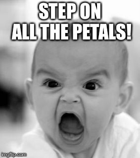 Angry Baby Meme | STEP ON ALL THE PETALS! | image tagged in memes,angry baby | made w/ Imgflip meme maker