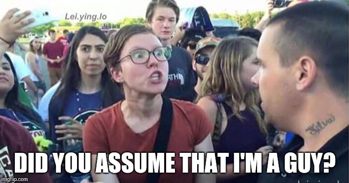 Did you just assume my gender | DID YOU ASSUME THAT I'M A GUY? | image tagged in did you just assume my gender | made w/ Imgflip meme maker