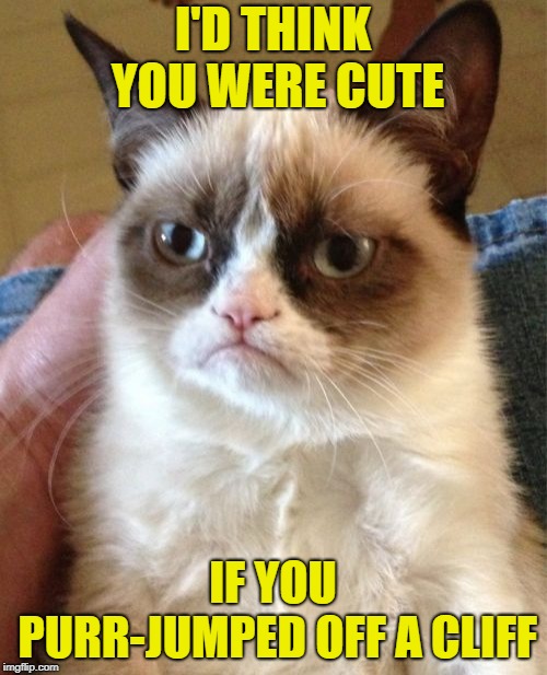Grumpy Cat Meme | I'D THINK YOU WERE CUTE IF YOU PURR-JUMPED OFF A CLIFF | image tagged in memes,grumpy cat | made w/ Imgflip meme maker