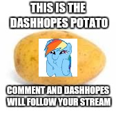 Do it | THIS IS THE DASHHOPES POTATO; COMMENT AND DASHHOPES WILL FOLLOW YOUR STREAM | image tagged in dashhopes,giveuahint,doctordoomsday180 | made w/ Imgflip meme maker