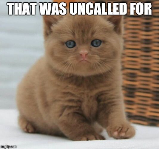 THAT WAS UNCALLED FOR | made w/ Imgflip meme maker