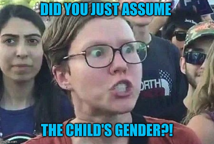 Triggered Liberal | DID YOU JUST ASSUME THE CHILD'S GENDER?! | image tagged in triggered liberal | made w/ Imgflip meme maker