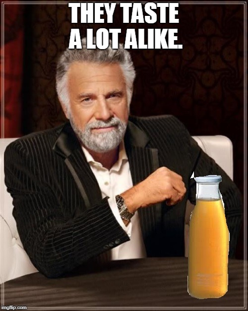 better drink my own piss | THEY TASTE A LOT ALIKE. | image tagged in better drink my own piss | made w/ Imgflip meme maker