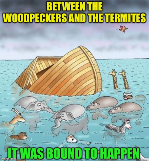 Here’s a different story ark. | BETWEEN THE WOODPECKERS AND THE TERMITES; IT WAS BOUND TO HAPPEN | image tagged in noah's ark,termites,woodpeckers,bible,fail,funny | made w/ Imgflip meme maker