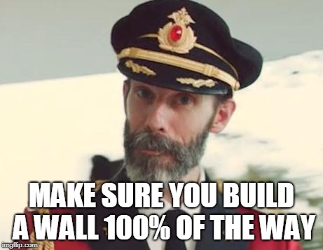Captain Obvious | MAKE SURE YOU BUILD A WALL 100% OF THE WAY | image tagged in captain obvious | made w/ Imgflip meme maker