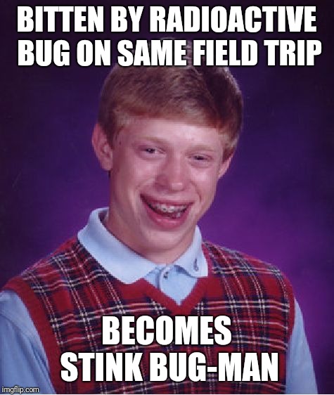 Bad Luck Brian Meme | BITTEN BY RADIOACTIVE BUG ON SAME FIELD TRIP BECOMES STINK BUG-MAN | image tagged in memes,bad luck brian | made w/ Imgflip meme maker