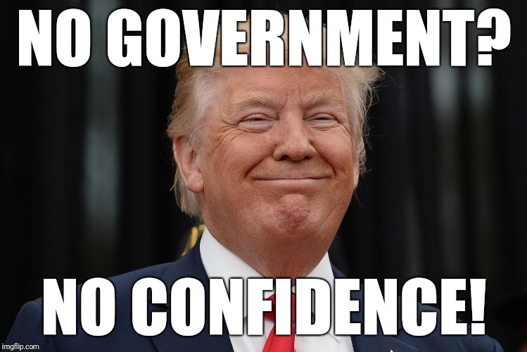 NO GOVERNMENT? NO CONFIDENCE! | image tagged in trump,government shutdown,republicans | made w/ Imgflip meme maker
