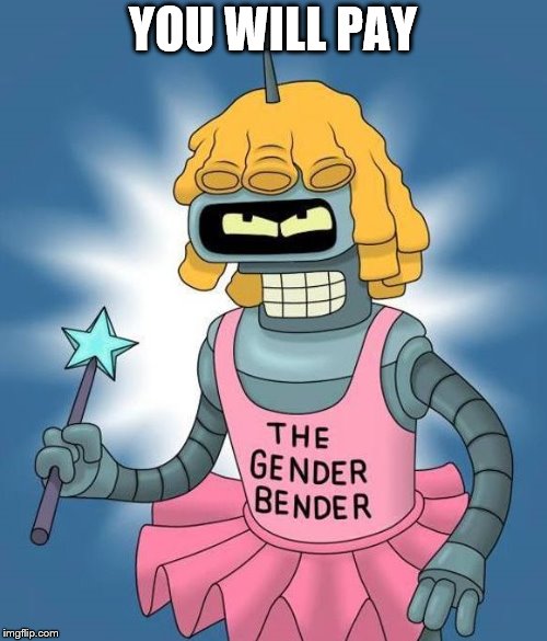 Gender Bender | YOU WILL PAY | image tagged in gender bender | made w/ Imgflip meme maker