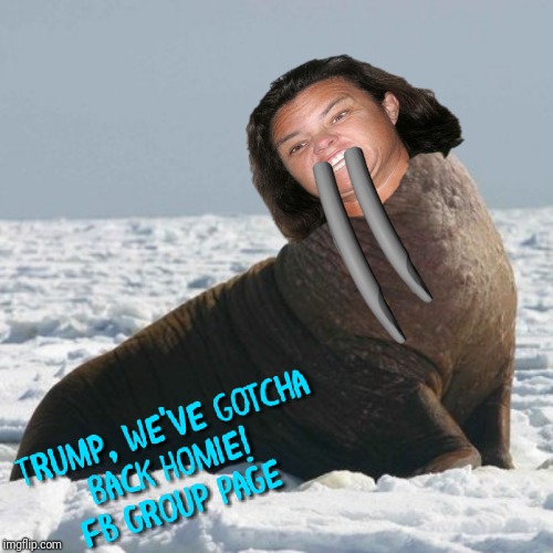 Rosie's a Fat Walrus | image tagged in rosie o'donnell meme,rosie president trump meme,liberal hollywood meme,pig meme,rosie o'donnell whale,political humor | made w/ Imgflip meme maker