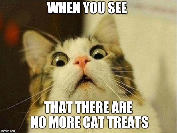 When there are no more Cat treats | WHEN YOU SEE; THAT THERE ARE NO MORE CAT TREATS | image tagged in memes,scared cat | made w/ Imgflip meme maker