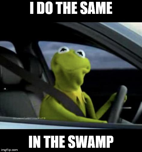 Kermit Driving | I DO THE SAME IN THE SWAMP | image tagged in kermit driving | made w/ Imgflip meme maker