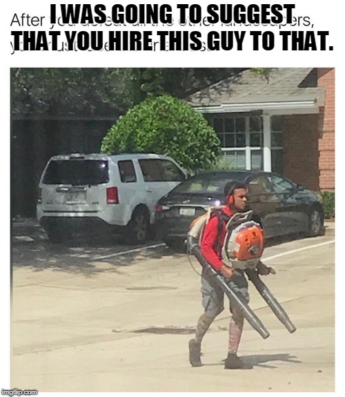 Leaf Blower God | I WAS GOING TO SUGGEST THAT YOU HIRE THIS GUY TO THAT. | image tagged in leaf blower god | made w/ Imgflip meme maker