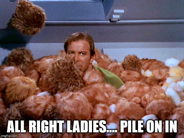Tribbles are for the ladies | ALL RIGHT LADIES.... PILE ON IN | image tagged in kirk tribbles | made w/ Imgflip meme maker