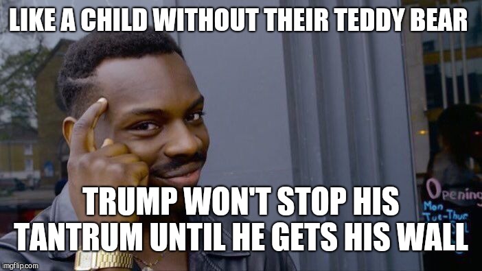 Roll Safe Think About It Meme | LIKE A CHILD WITHOUT THEIR TEDDY BEAR TRUMP WON'T STOP HIS TANTRUM UNTIL HE GETS HIS WALL | image tagged in memes,roll safe think about it | made w/ Imgflip meme maker