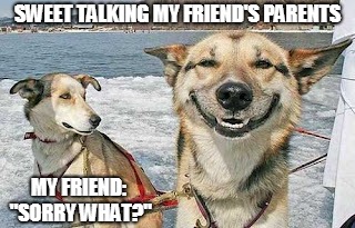 Original Stoner Dog | SWEET TALKING MY FRIEND'S PARENTS; MY FRIEND: "SORRY WHAT?" | image tagged in memes,original stoner dog | made w/ Imgflip meme maker