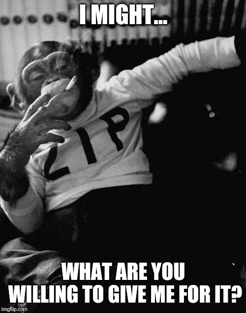 smoking monkey  | I MIGHT... WHAT ARE YOU WILLING TO GIVE ME FOR IT? | image tagged in smoking monkey | made w/ Imgflip meme maker