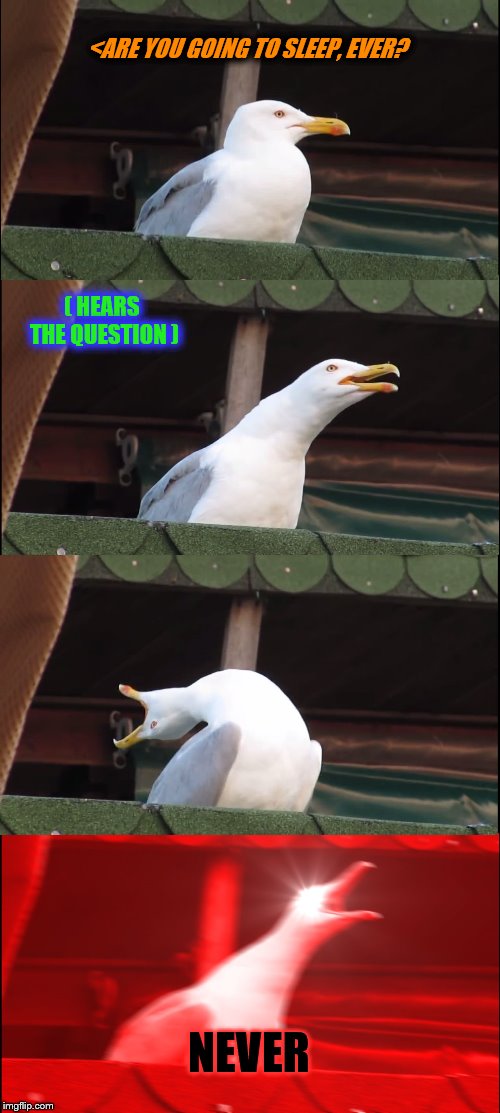 Inhaling Seagull | <ARE YOU GOING TO SLEEP, EVER? ( HEARS THE QUESTION ); NEVER | image tagged in memes,inhaling seagull | made w/ Imgflip meme maker