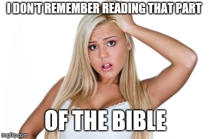 Dumb Blonde | I DON'T REMEMBER READING THAT PART OF THE BIBLE | image tagged in dumb blonde | made w/ Imgflip meme maker