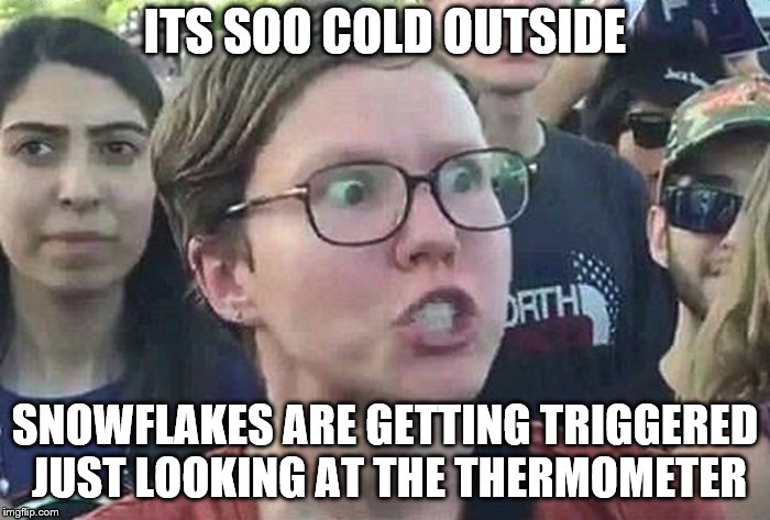 Triggered Liberal | ITS SOO COLD OUTSIDE; SNOWFLAKES ARE GETTING TRIGGERED JUST LOOKING AT THE THERMOMETER | image tagged in triggered liberal | made w/ Imgflip meme maker