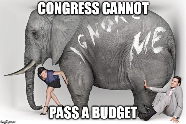 elephant in the room | CONGRESS CANNOT PASS A BUDGET | image tagged in elephant in the room | made w/ Imgflip meme maker