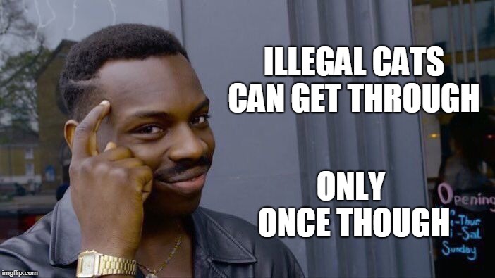 Roll Safe Think About It Meme | ILLEGAL CATS CAN GET THROUGH ONLY ONCE THOUGH | image tagged in memes,roll safe think about it | made w/ Imgflip meme maker