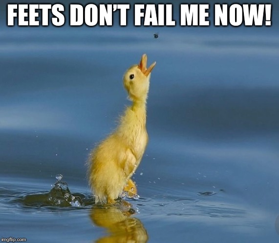 FEETS DON’T FAIL ME NOW! | made w/ Imgflip meme maker