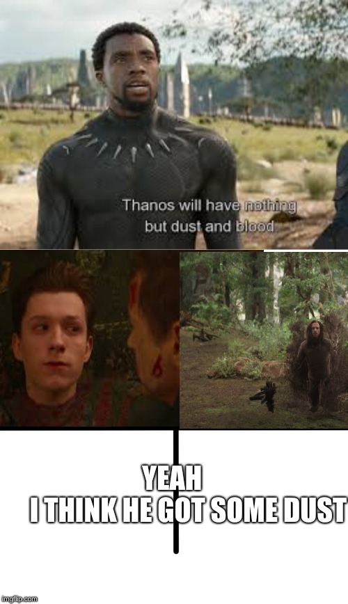YEAH 
            I THINK HE GOT SOME DUST | image tagged in memes,avengers,avengers infinity war,avengers endgame,black panther,thanos | made w/ Imgflip meme maker