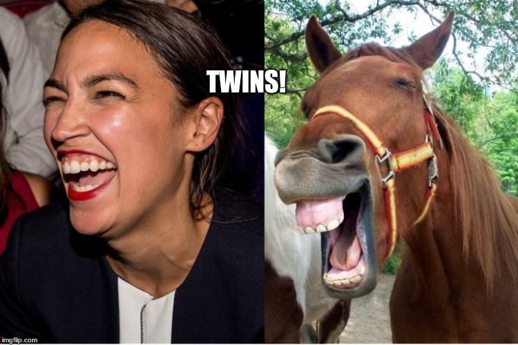 Twins | TWINS! | image tagged in ocasio-cortez,aoc,horseface | made w/ Imgflip meme maker