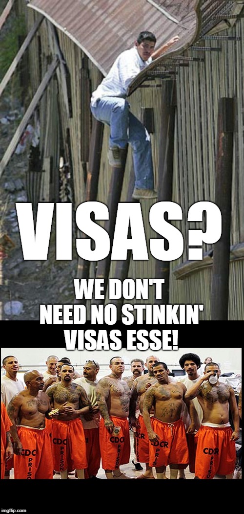 VISAS? WE DON'T NEED NO STINKIN' VISAS ESSE! | image tagged in illegal mexican,illegal aliens for real | made w/ Imgflip meme maker