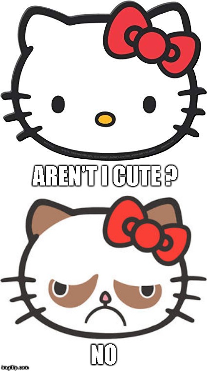Hello vs Hell No ! | AREN'T I CUTE ? NO | image tagged in hell no killy,hello kitty | made w/ Imgflip meme maker