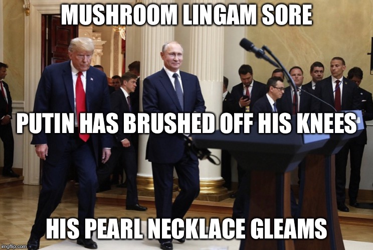 Presidential Haiku | MUSHROOM LINGAM SORE; PUTIN HAS BRUSHED OFF HIS KNEES; HIS PEARL NECKLACE GLEAMS | image tagged in trump and putin,haiku,political meme,memes | made w/ Imgflip meme maker
