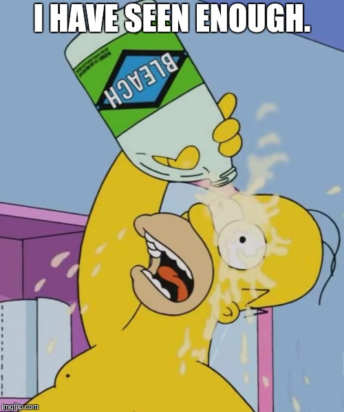 Homer with bleach | I HAVE SEEN ENOUGH. | image tagged in homer with bleach | made w/ Imgflip meme maker