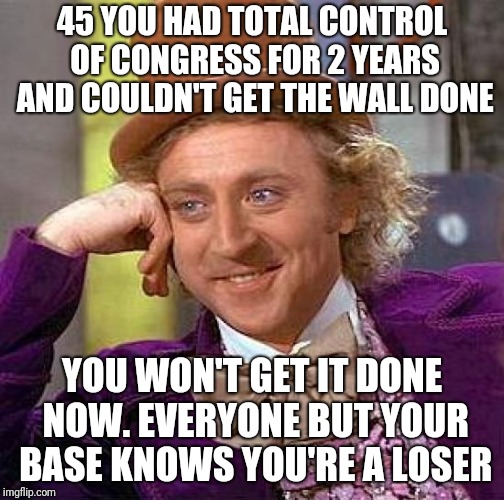 Creepy Condescending Wonka | 45 YOU HAD TOTAL CONTROL OF CONGRESS FOR 2 YEARS AND COULDN'T GET THE WALL DONE; YOU WON'T GET IT DONE NOW. EVERYONE BUT YOUR BASE KNOWS YOU'RE A LOSER | image tagged in memes,creepy condescending wonka | made w/ Imgflip meme maker