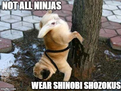 Ninja Level: Expert | NOT ALL NINJAS; WEAR SHINOBI SHOZOKUS | image tagged in ninja,dog | made w/ Imgflip meme maker