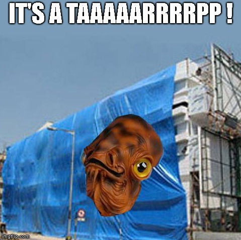 He's right. It's a Tarp. | IT'S A TAAAAARRRRPP ! | image tagged in it's a tarp | made w/ Imgflip meme maker
