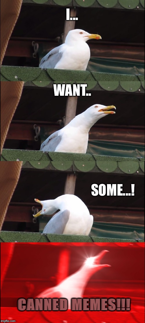 Inhaling Seagull Meme | I... WANT.. SOME...! CANNED MEMES!!! | image tagged in memes,inhaling seagull | made w/ Imgflip meme maker