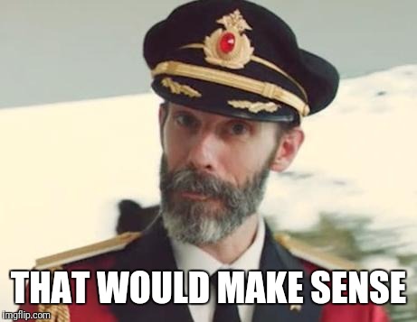 Captain Obvious | THAT WOULD MAKE SENSE | image tagged in captain obvious | made w/ Imgflip meme maker