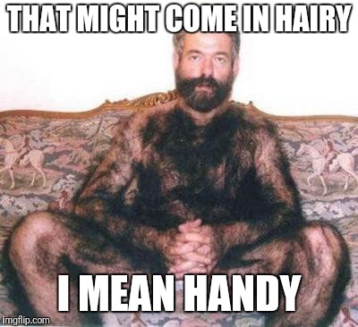 Hairy man | THAT MIGHT COME IN HAIRY I MEAN HANDY | image tagged in hairy man | made w/ Imgflip meme maker