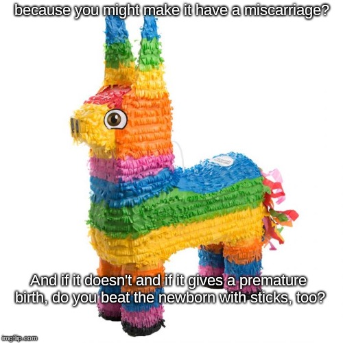 Have you ever felt sorry for a pinata . . .  | because you might make it have a miscarriage? And if it doesn't and if it gives a premature birth, do you beat the newborn with sticks, too? | image tagged in horses | made w/ Imgflip meme maker