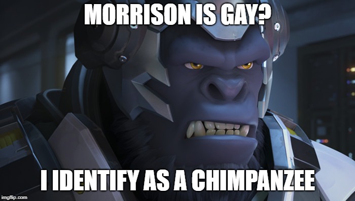 Winston Overwatch | MORRISON IS GAY? I IDENTIFY AS A CHIMPANZEE | image tagged in winston overwatch | made w/ Imgflip meme maker